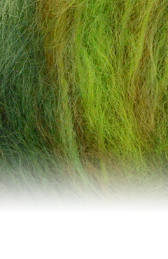 Meisterstück